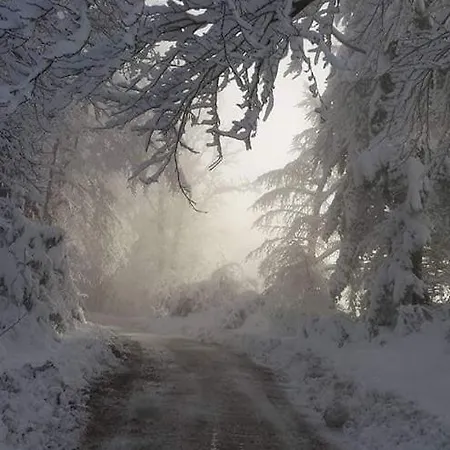 Villa Kuca Za Odmor Anima *
