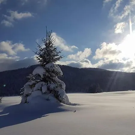 Villa Kuca Za Odmor Anima *